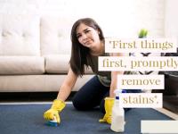 Green Tech Carpet Cleaning image 9