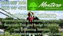 Montero Tree Services LLC logo