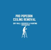 Popcorn Ceiling Removal Services LA image 1