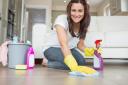 Lisa Lundy Cleaning logo