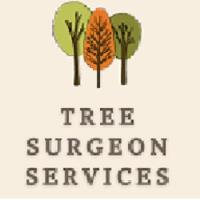 Tree Surgeon Services image 6