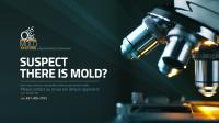 O2 Mold Testing image 7