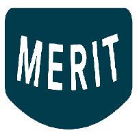 Merit Auto Spa Detailing Services image 1
