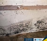 FDP Mold Remediation of Annapolis image 5