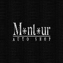 Montour Auto Shop logo