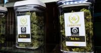 Rocky Mountain Cannabis Corporation - Denver image 2