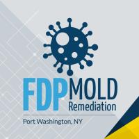 FDP Mold Remediation image 7