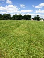 Saint Cloud Lawn Service image 1