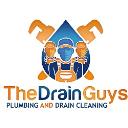 The Drain Guys Plumbing & Drain Cleaning logo