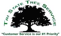 Tri-State Tree Service image 1