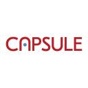 Capsule Auctions logo