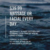 Essentials Massage & Facial Spa of Westchase image 1