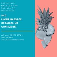 Essentials Massage & Facial Spa of Westchase image 2