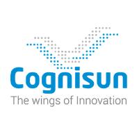 Cognisun Infotech Pvt Ltd image 1