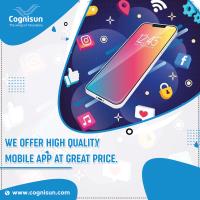 Cognisun Infotech Pvt Ltd image 4