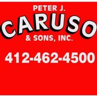 Peter J Caruso & Sons Incorporated image 1