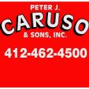 Peter J Caruso & Sons Incorporated logo