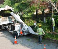 Burlington Tree Care & Removal Service image 4