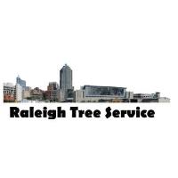 Raleigh Tree Service image 1