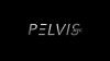 Pelvis NYC - Dr. Adam Gvili PT, DPT image 2