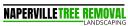 Naperville Tree Removal & Landscaping Pros logo