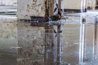 Seco Water Damage Restoration and Mold Removal image 2