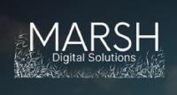 Marsh Digital Solutions image 5