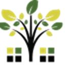 Charlotte Tree Removals					 logo