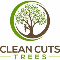 Clean Cuts Trees image 2