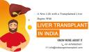 Top 10 liver transplant hospitals in India logo