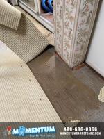 Momentum Carpet & Floor Care LLC. image 20