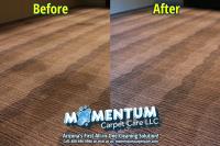 Momentum Carpet & Floor Care LLC. image 4