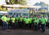 Tri-State Tree Service image 6