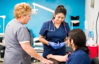 Medical and Dental Assistant School of Dallas image 4