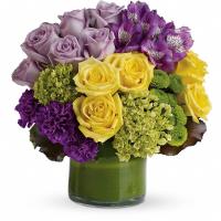 Frugal Flower Florist & Flower Delivery image 3