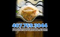 Roofer Orlando LLC image 2