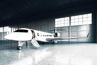 Flight King - Private Jet Charter Rental image 1