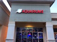 Neptunes Aquariums image 1