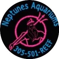 Neptunes Aquariums image 4