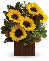 Caruso Florist & Flower Delivery image 1