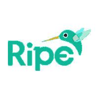 Ripe Media image 3