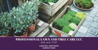 Professional Lawn and Tree Care LLC image 2
