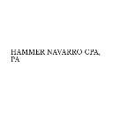 Hammer Navarro And Associates CPA, PA logo