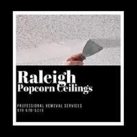 Raleigh Popcorn Ceiling image 1