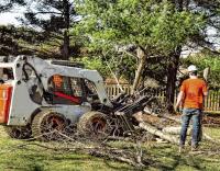 Louisville Tree Service Experts image 3