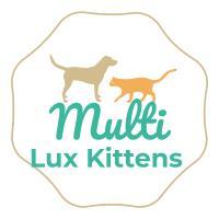 Multilux Kittens image 2