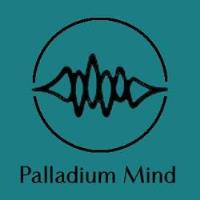 Palladium Mind Inc. image 11