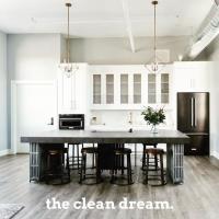 The Clean Dream image 10