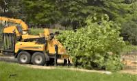 SOUTH WEST MN TREE SERVICE image 3