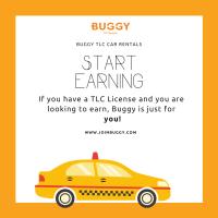 Buggy TLC Car Rentals image 4